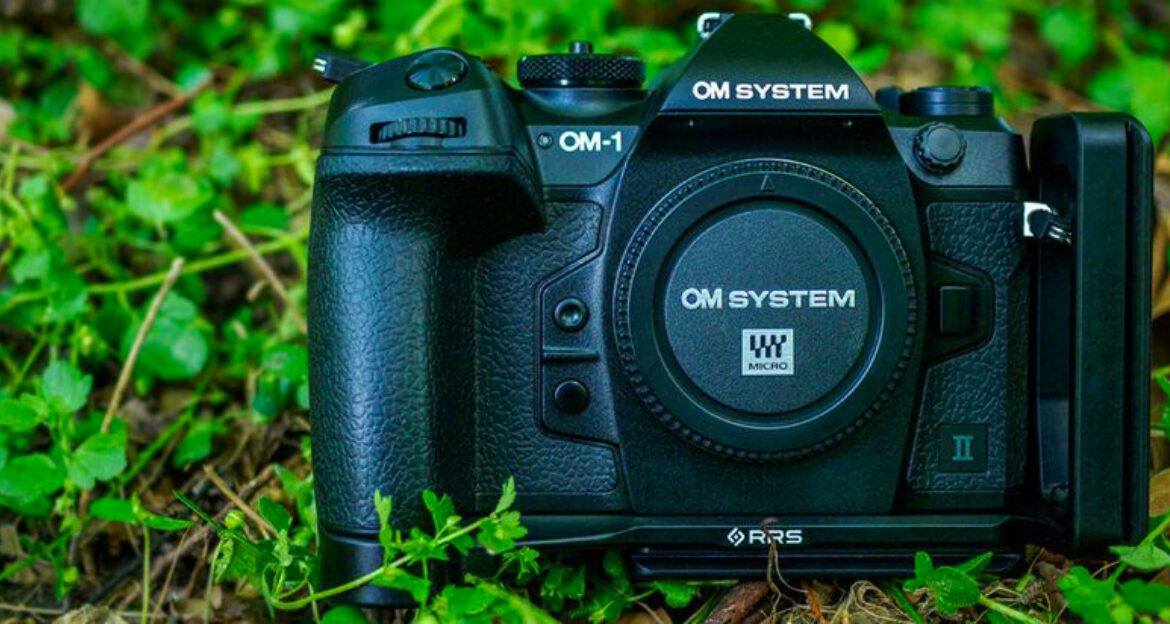 10 Best Cameras for Capturing Macro Details That Look Unreal