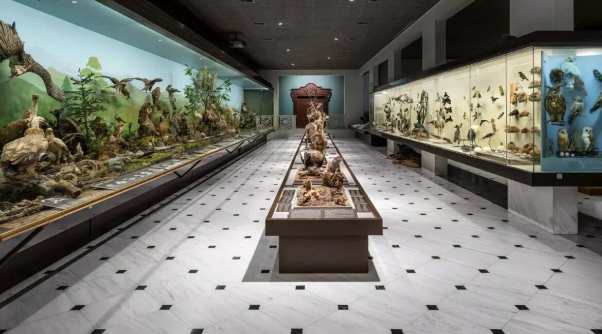 President inaugurates Goulandris Museum of Natural History 