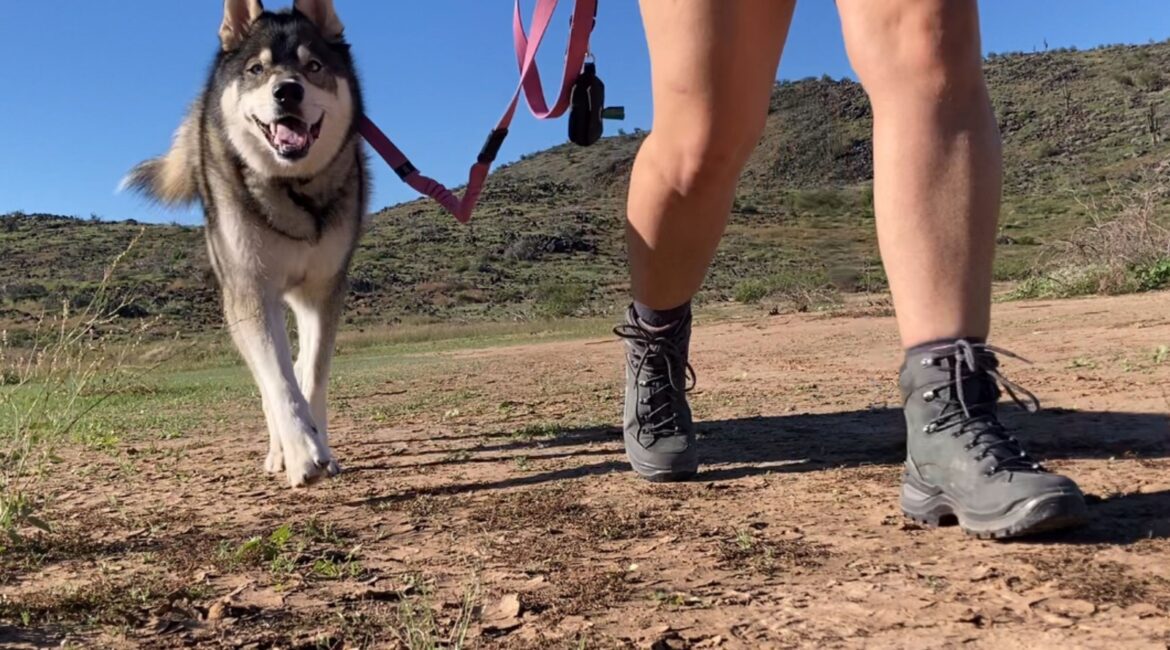 Women’s Lowa Renegade EVO GTX Mid Review