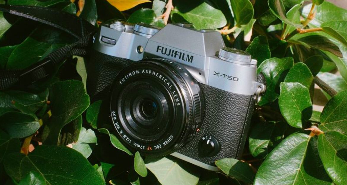 10 Best Cameras for Mountains, Forests, and Trails