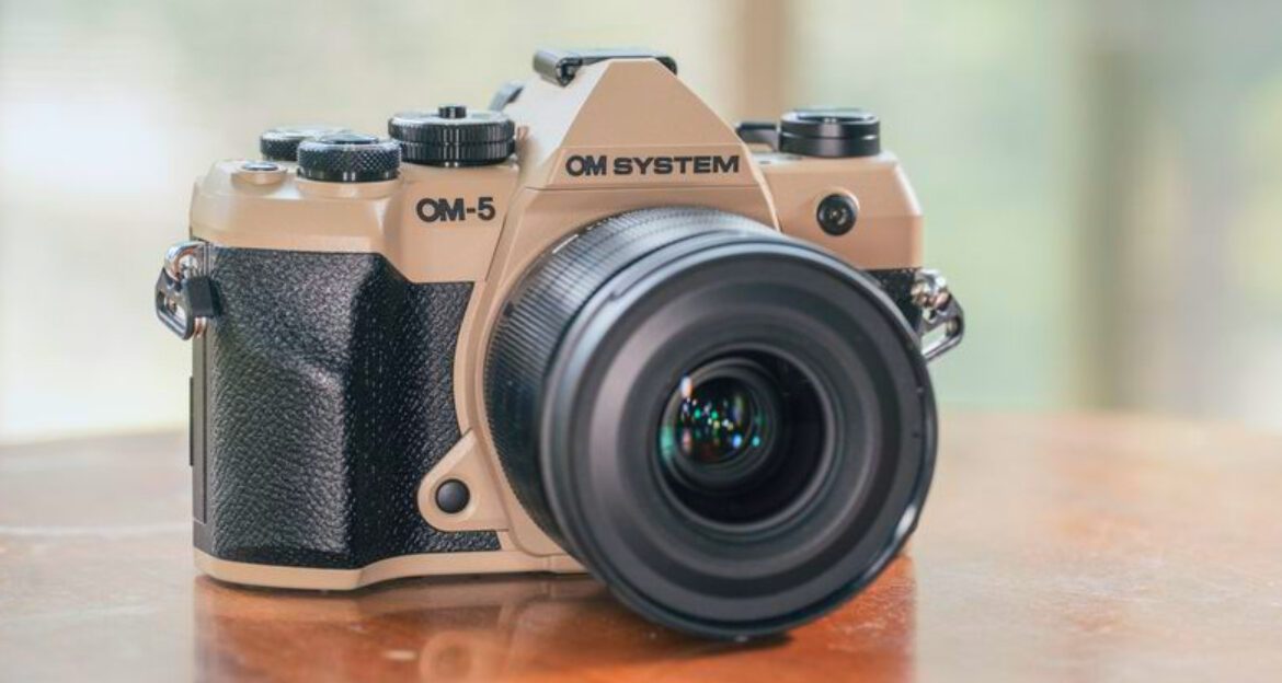 10 Mirrorless Cameras That Nail Christmas Morning Shots