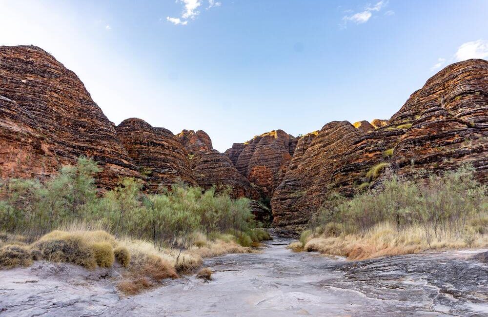 Explore Nature, Wildlife & Scenic Adventures