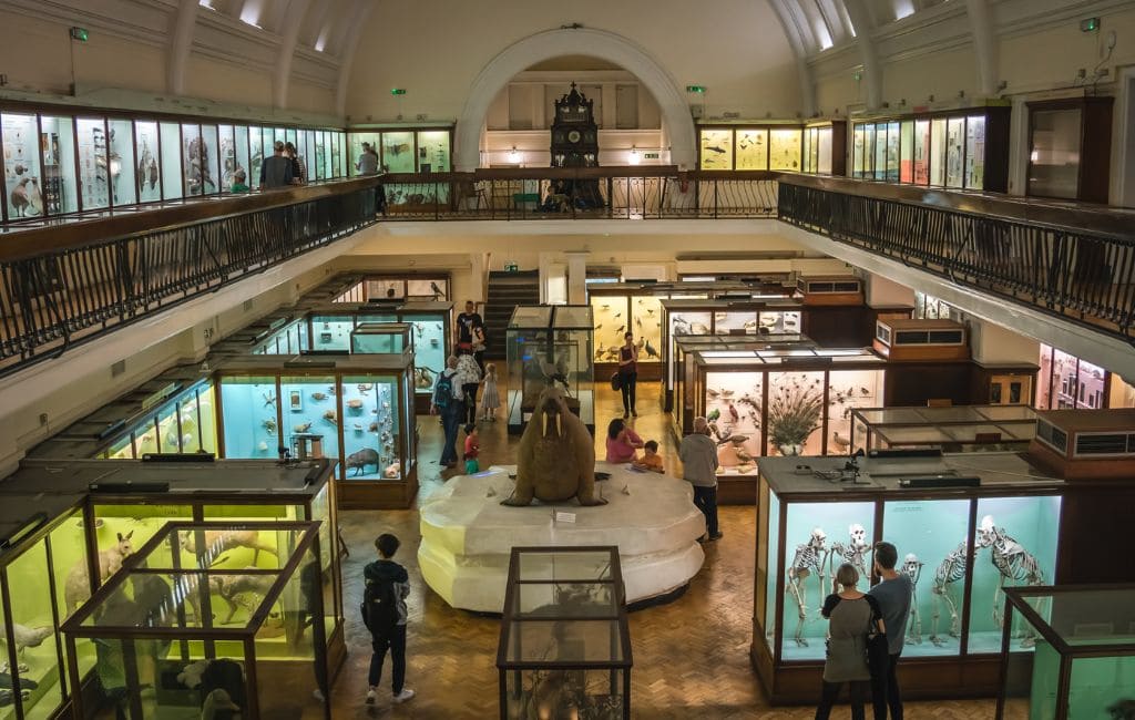 The 23 most unusual museums in London (2026)