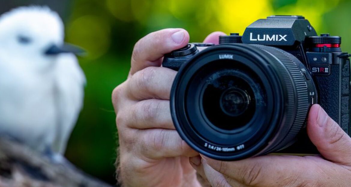 12 Cameras That Reveal Hidden Beauty in Shadows