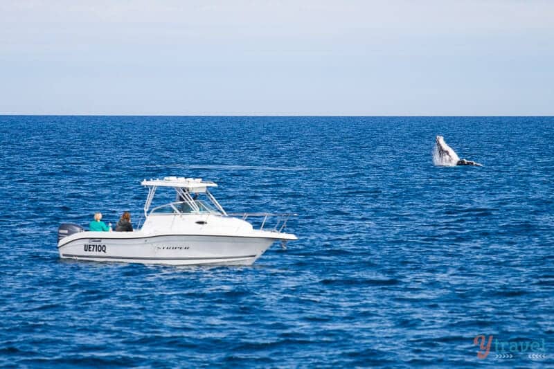 16 Unmissable Things To Do In Hervey Bay, Queensland