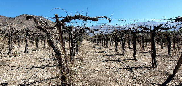 Greece Climate Report 2025: Soaring temperatures, declining snow, second warmest in 30 years