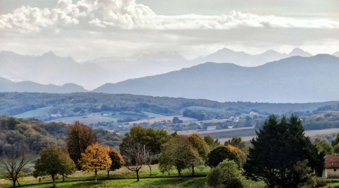 The Good Life in Southern France