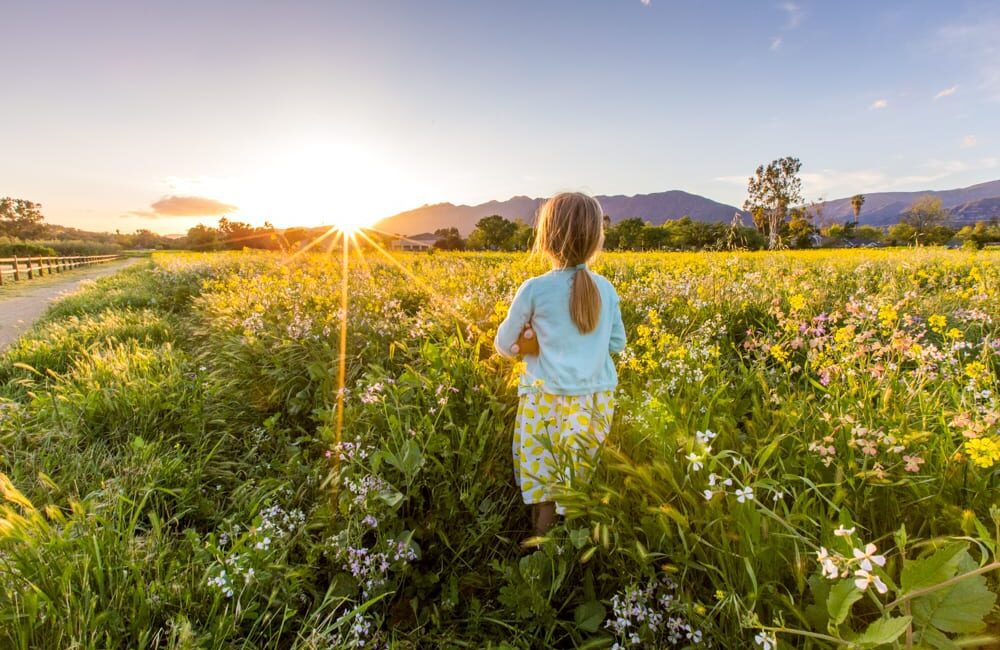 Things to Do in Ojai (With or Without Kids)