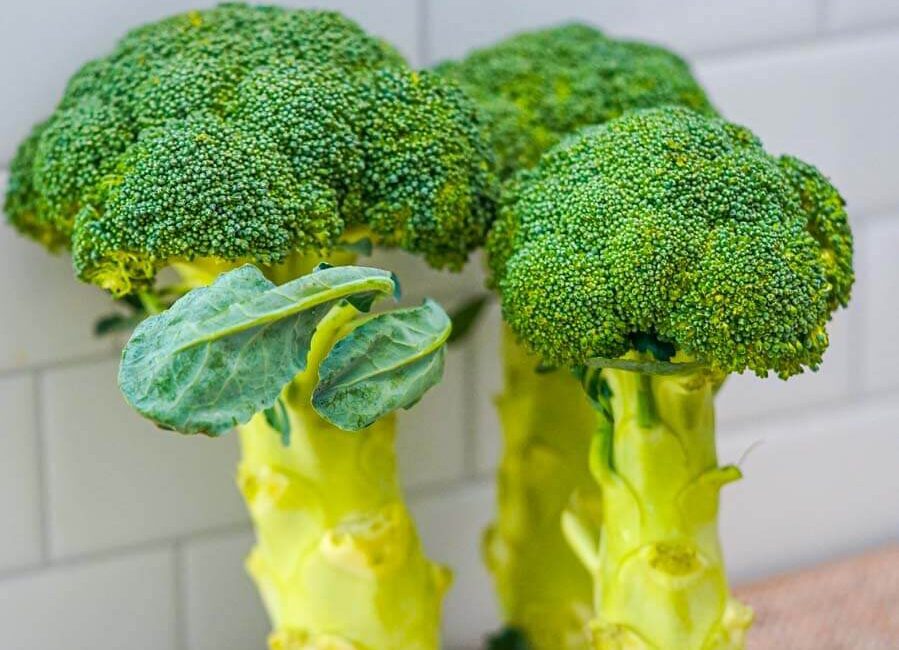 What is Broccoli? – Panlasang Pinoy