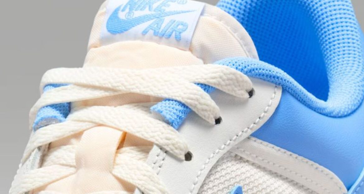 New Arrival, February 2026 Review: Nike Air Jordan Skyline Low