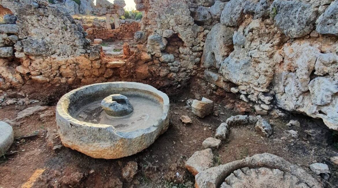 Ancient Greek Woman Led Major Olive Oil Industry in Pamphylia.