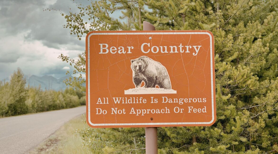 Bear Country Common Scents: A Backpacker’s Guide to Coexisting with Bears