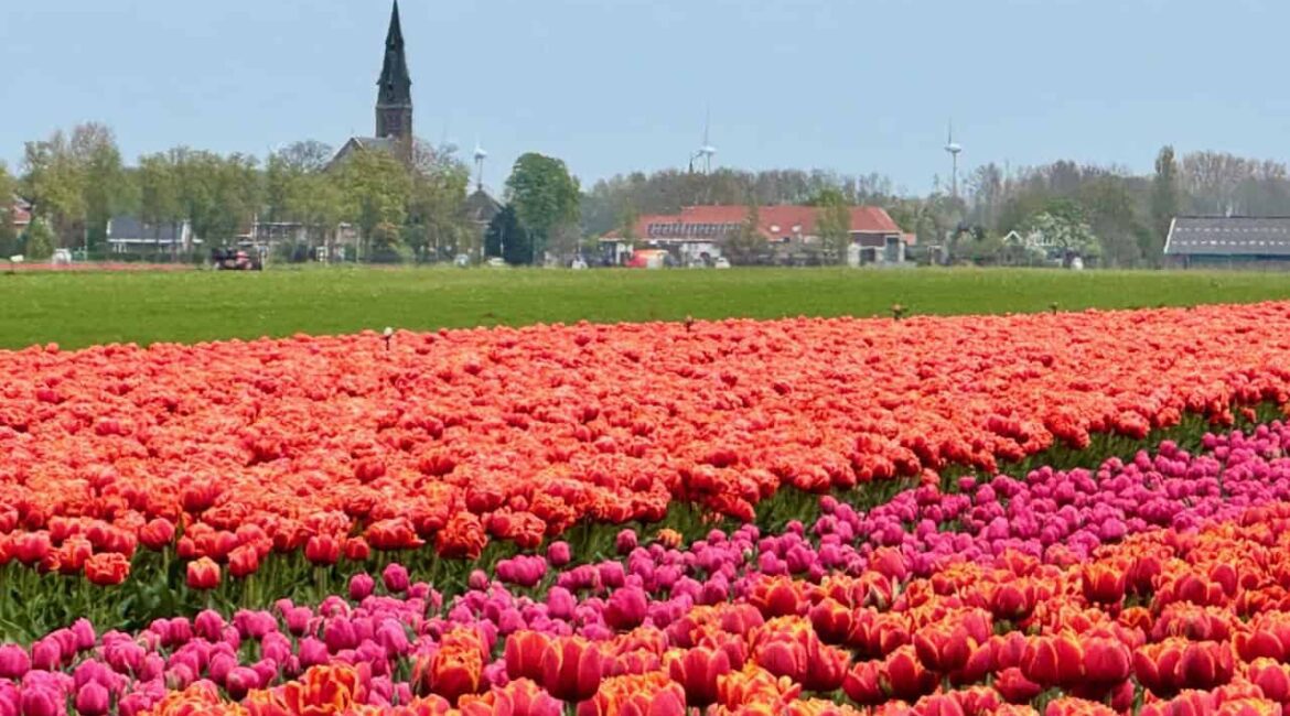 The best places to visit in North Holland