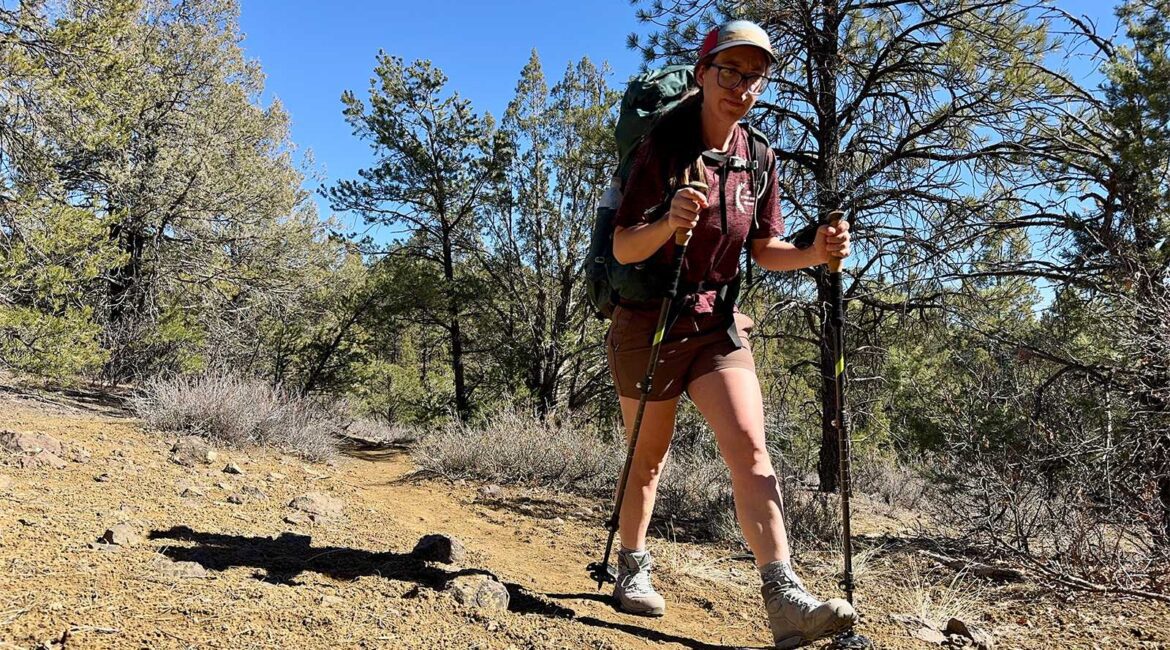 Cascade Mountain Tech Carbon Fiber Trekking Poles Review