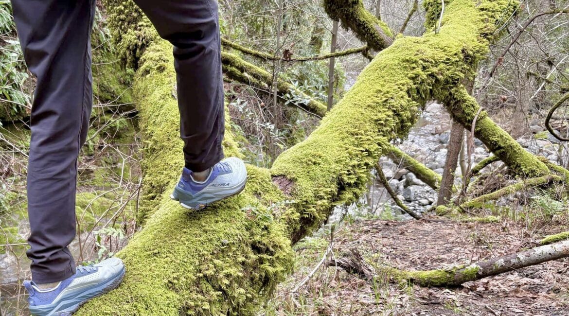 Women’s Altra Olympus 6 Review
